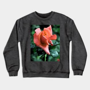 Orange Rose Bud Crewneck Sweatshirt